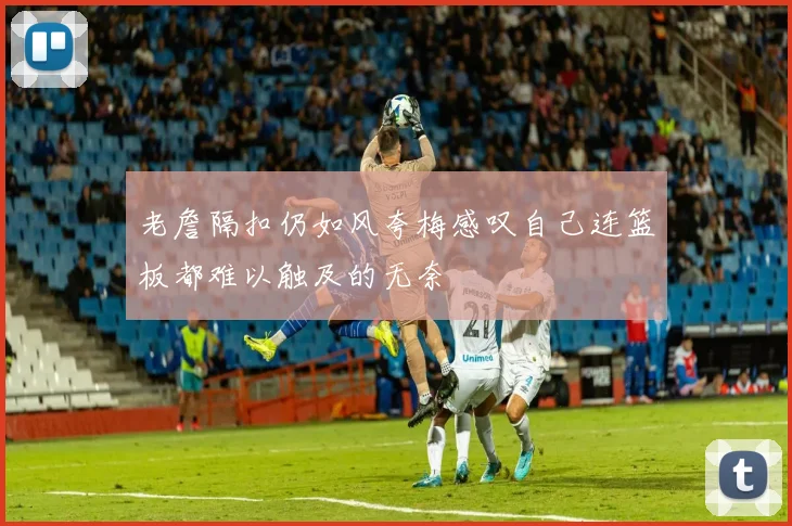 老詹隔扣仍如风夸梅感叹自己连篮板都难以触及的无奈